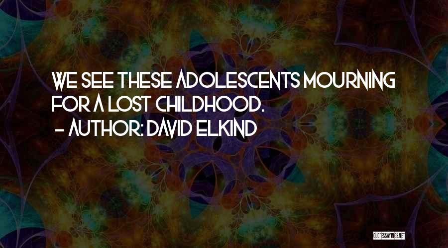 David Elkind Quotes 1275111