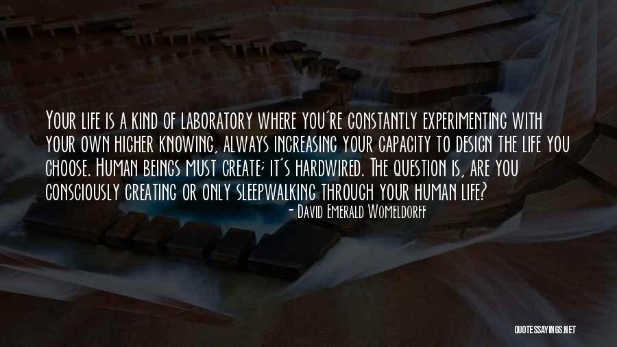 David Emerald Quotes By David Emerald Womeldorff