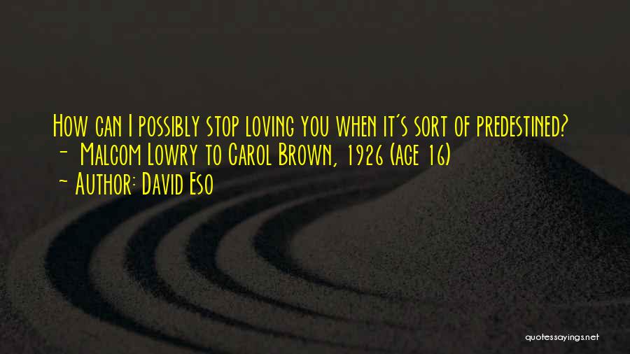 David Eso Quotes 1825152