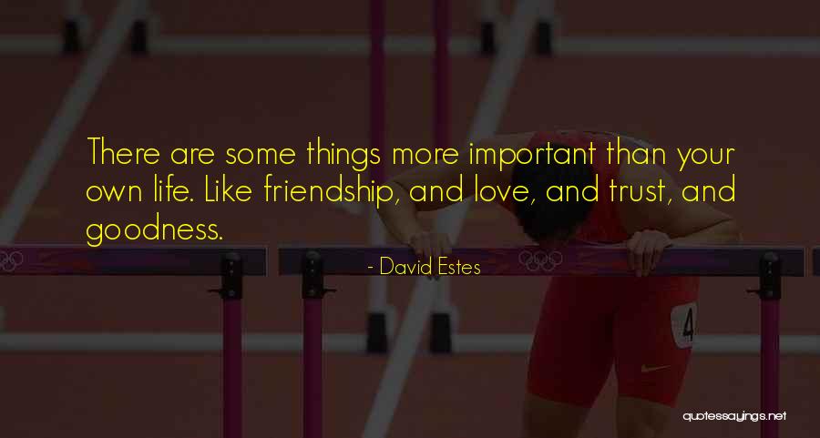 David Estes Quotes 1822167