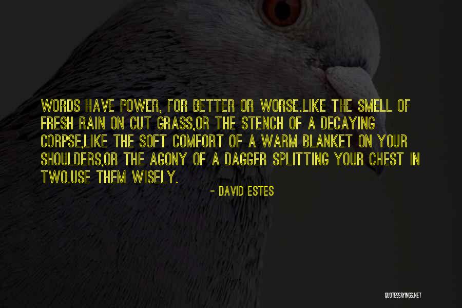 David Estes Quotes 820627 David Estes Quotes 820627