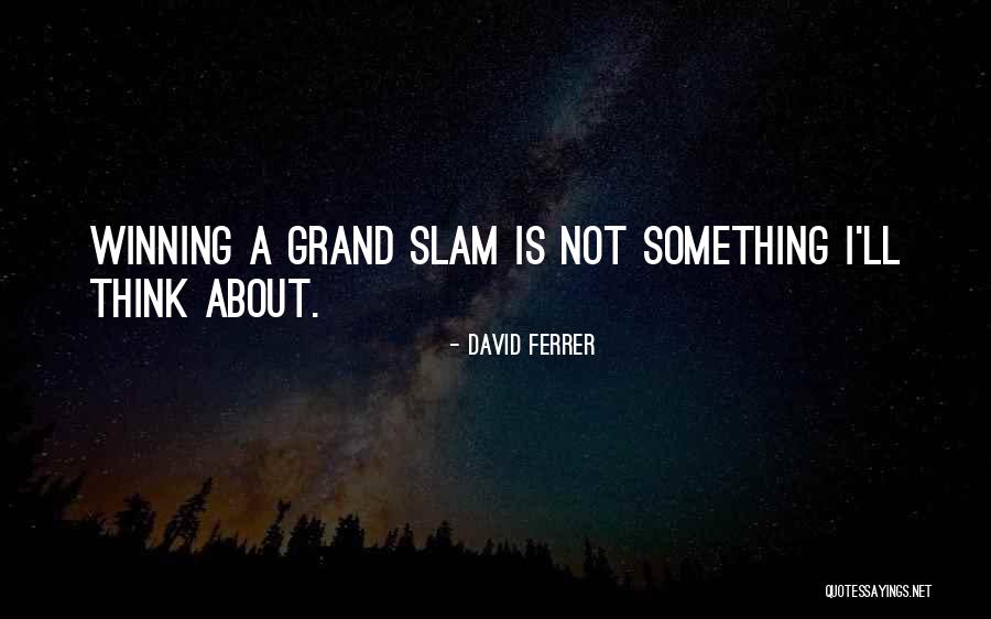 David Ferrer Quotes 301703 David Ferrer Quotes 301703