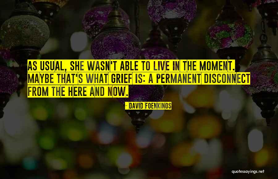 David Foenkinos Quotes 1226244 David Foenkinos Quotes 1226244