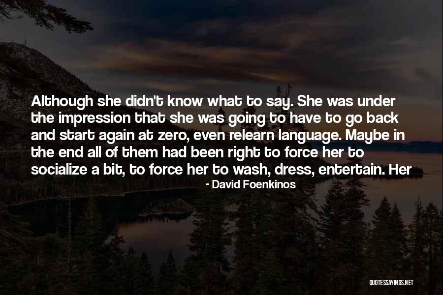 David Foenkinos Quotes 662323