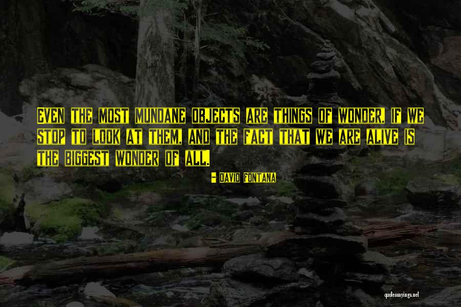 David Fontana Quotes 1495853 David Fontana Quotes 1495853