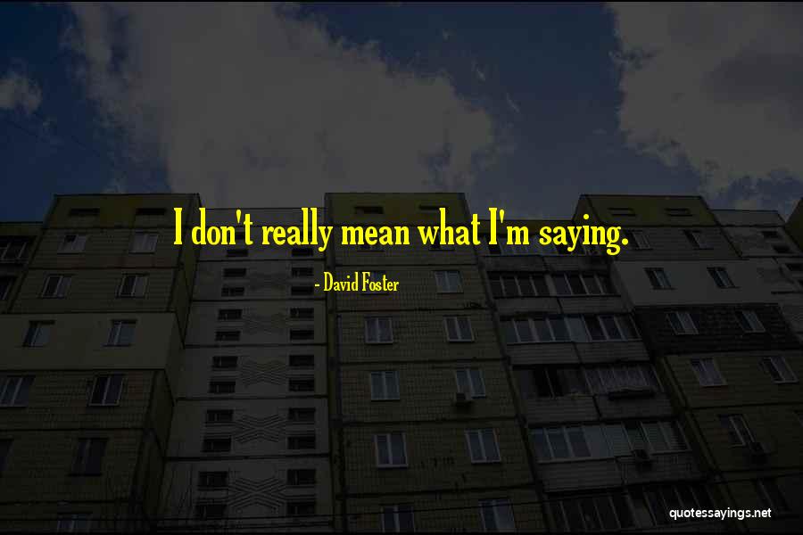 David Foster Quotes 453970 David Foster Quotes 453970