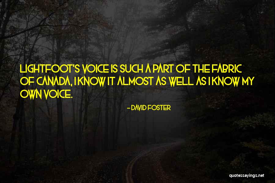 David Foster Quotes 761976 David Foster Quotes 761976