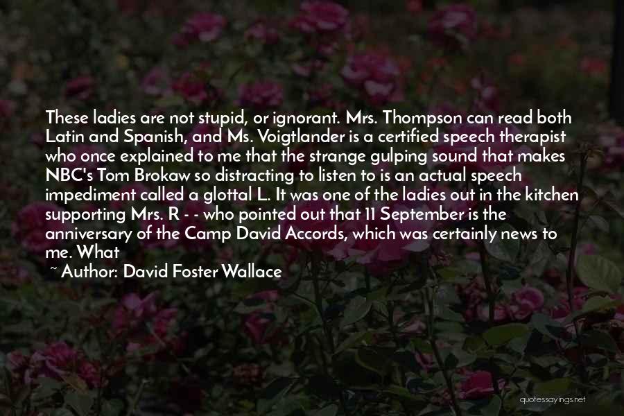 David Foster Wallace Quotes 1218594