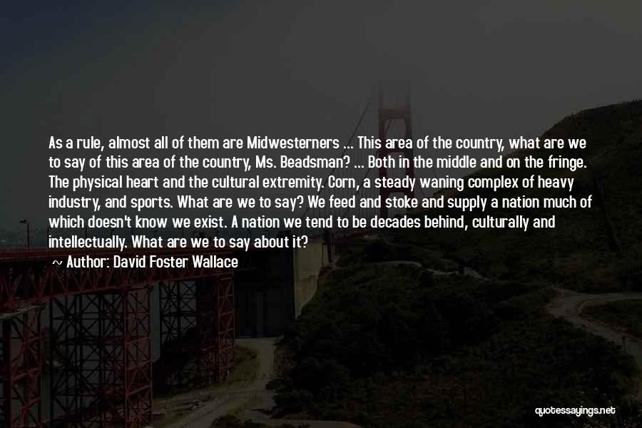 David Foster Wallace Quotes 1224904