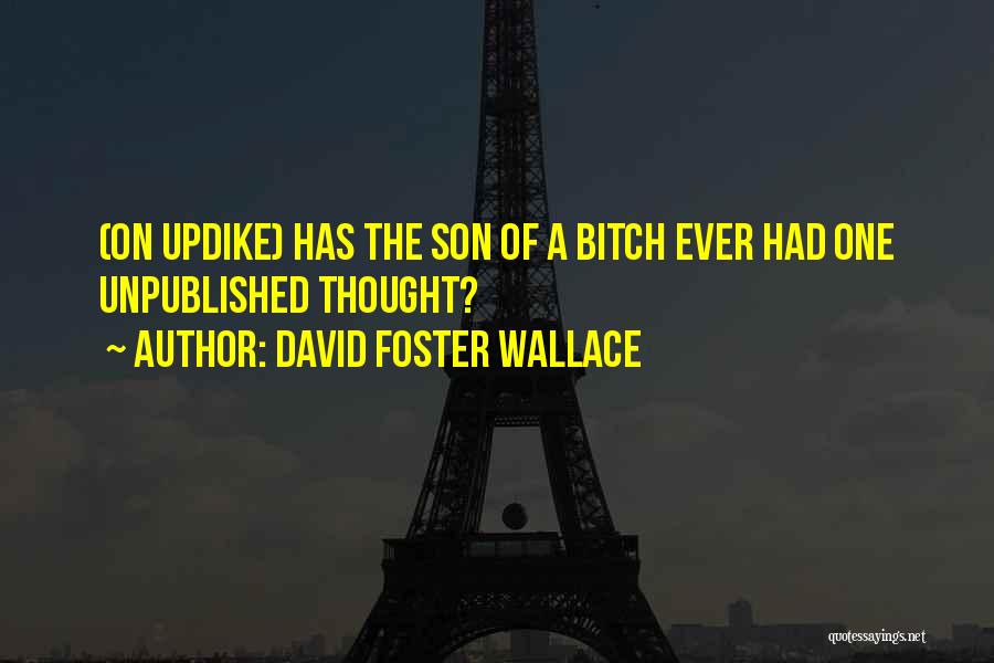 David Foster Wallace Quotes 132039