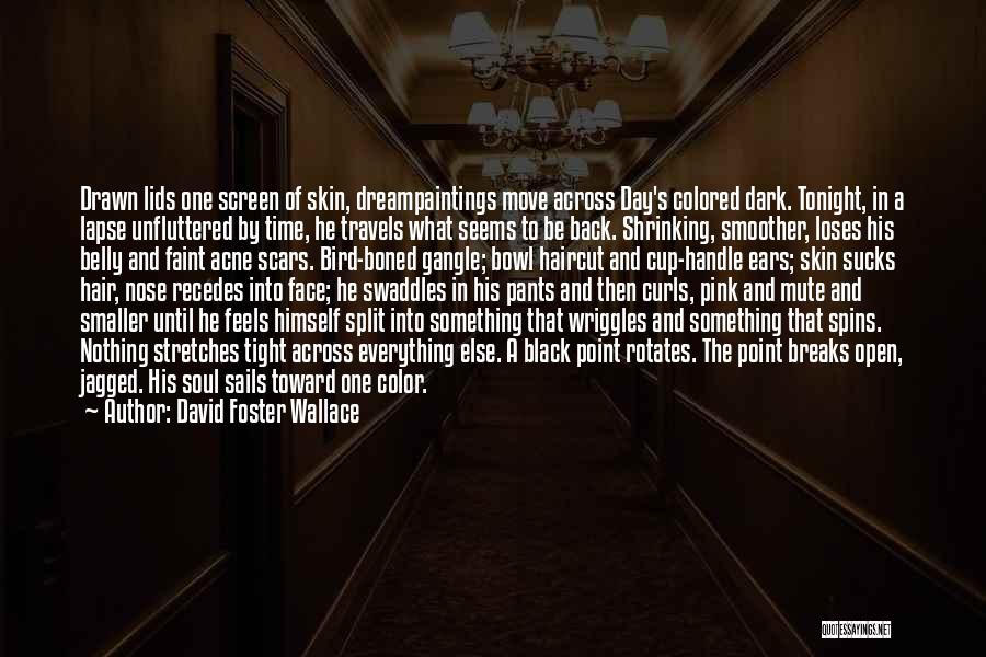 David Foster Wallace Quotes 1410966