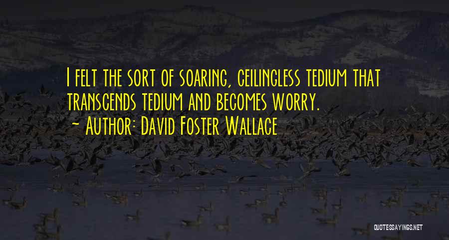 David Foster Wallace Quotes 1413961