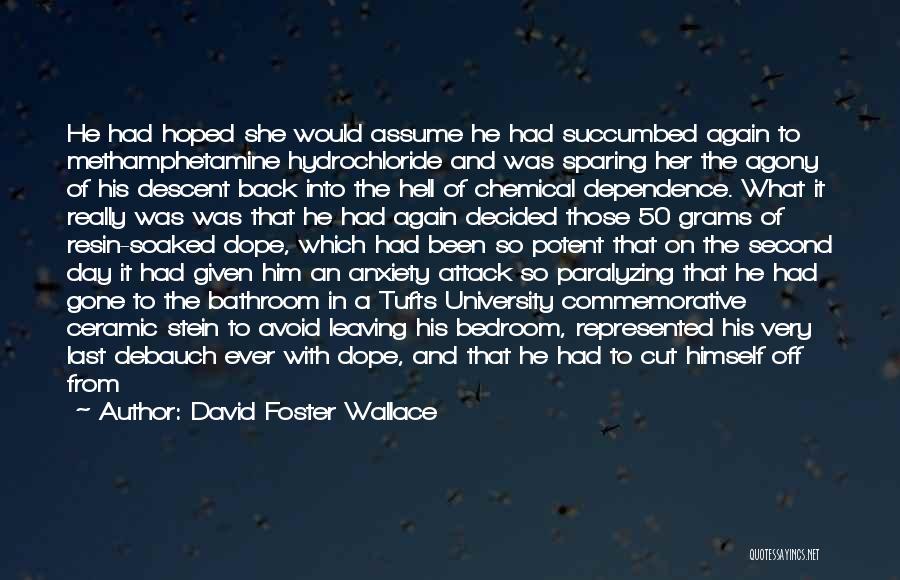 David Foster Wallace Quotes 561134