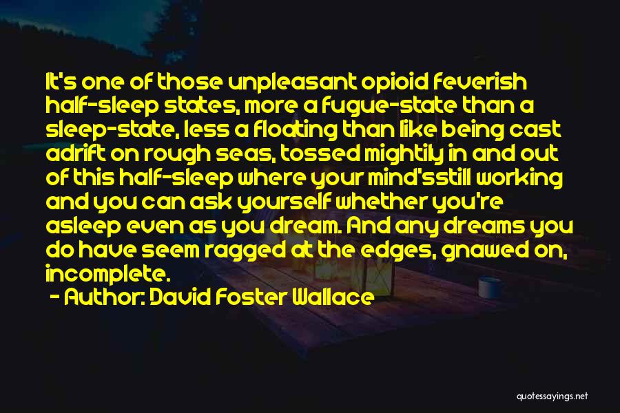 David Foster Wallace Quotes 901821