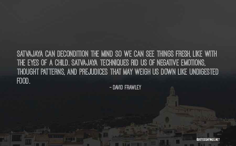 David Frawley Quotes 1210768 David Frawley Quotes 1210768