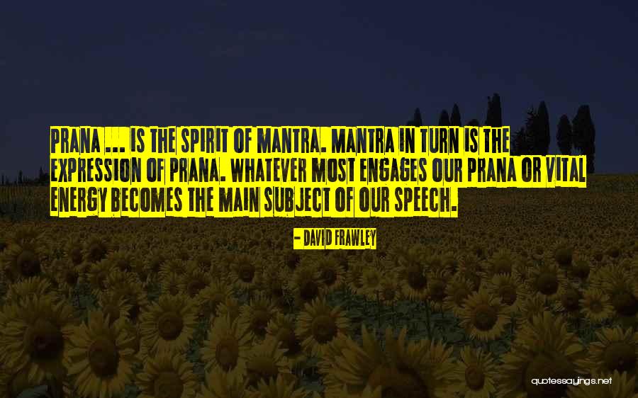 David Frawley Quotes 1742501 David Frawley Quotes 1742501