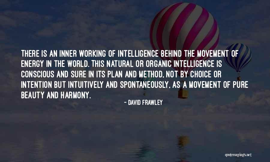 David Frawley Quotes 934102 David Frawley Quotes 934102