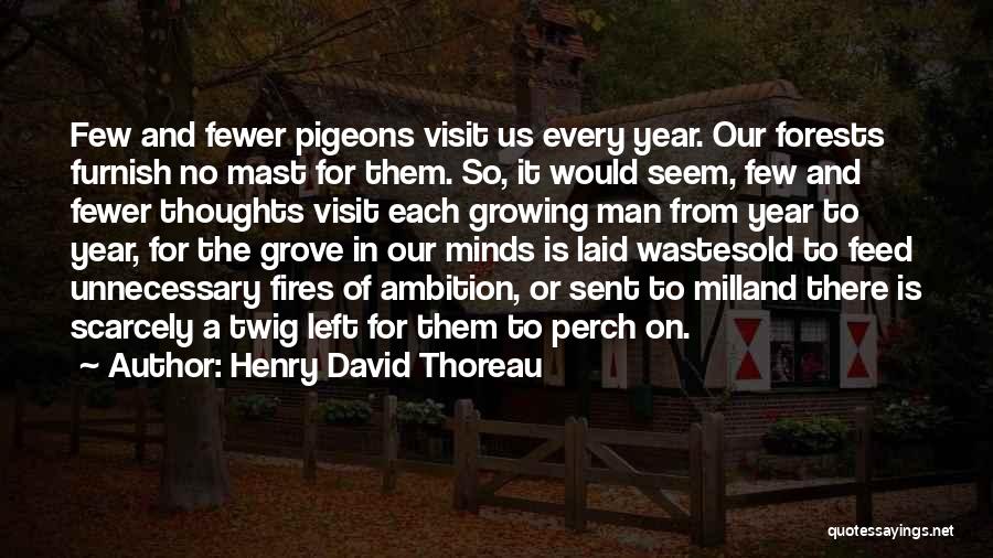 David Furnish Quotes By Henry David Thoreau