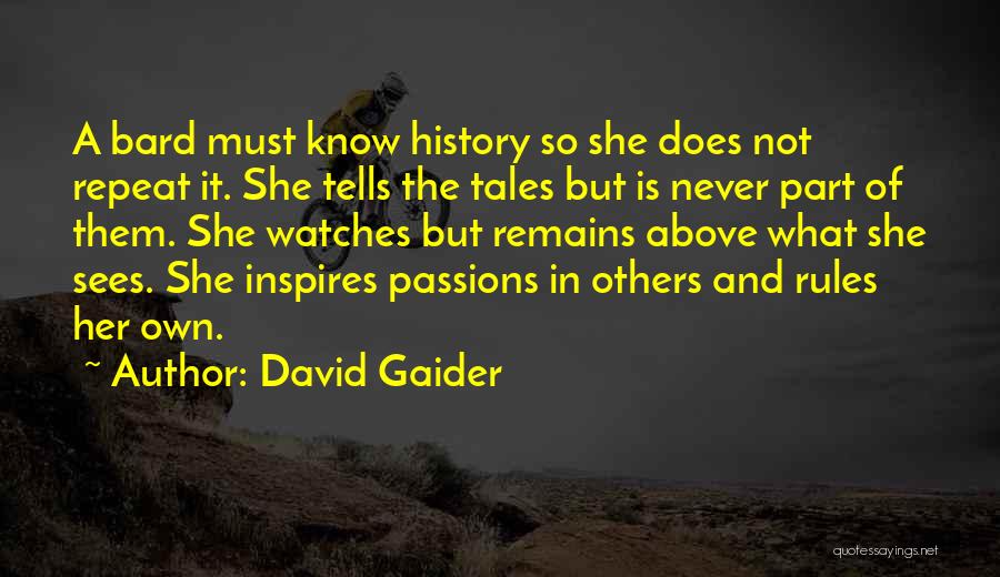 David Gaider Quotes 1042116