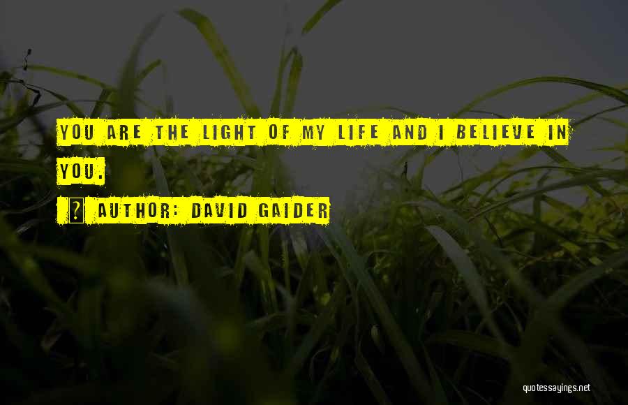 David Gaider Quotes 1824166