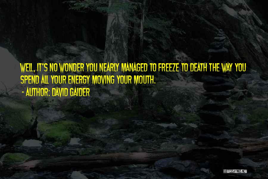 David Gaider Quotes 221218