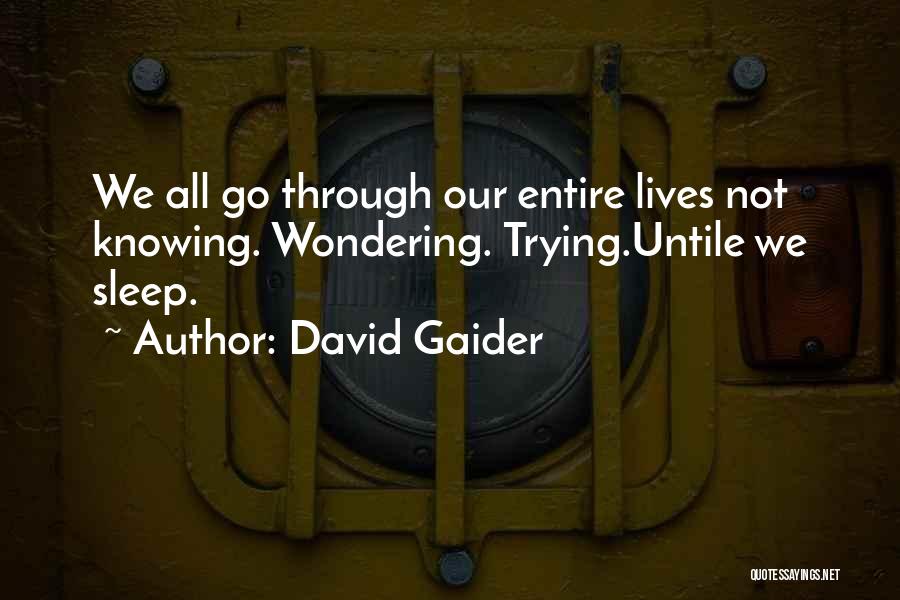 David Gaider Quotes 332531