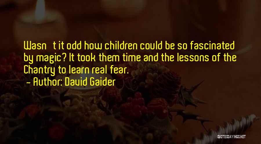 David Gaider Quotes 879228