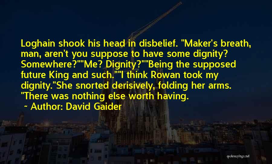 David Gaider Quotes 966100
