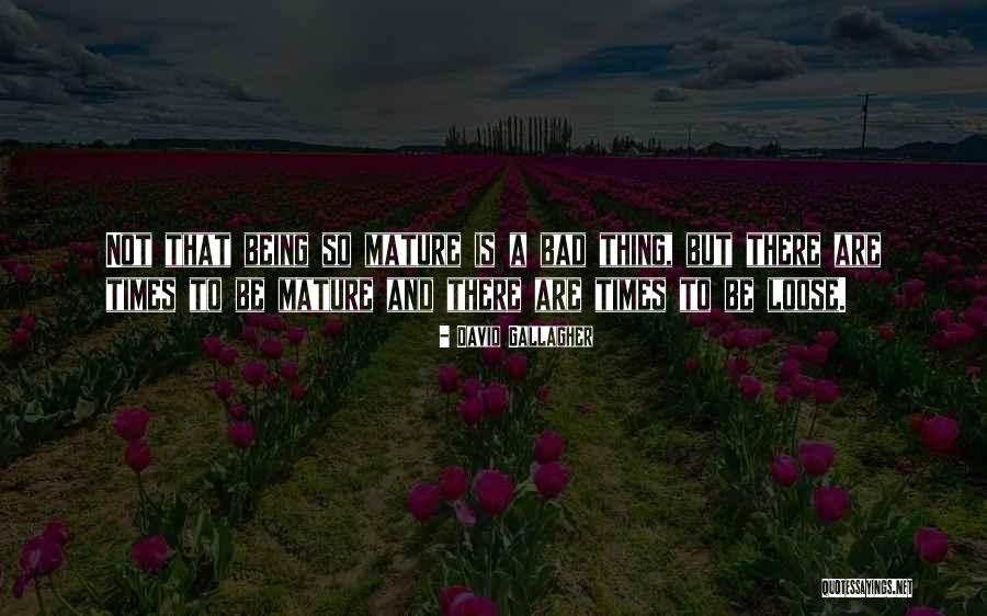 David Gallagher Quotes 469217 David Gallagher Quotes 469217