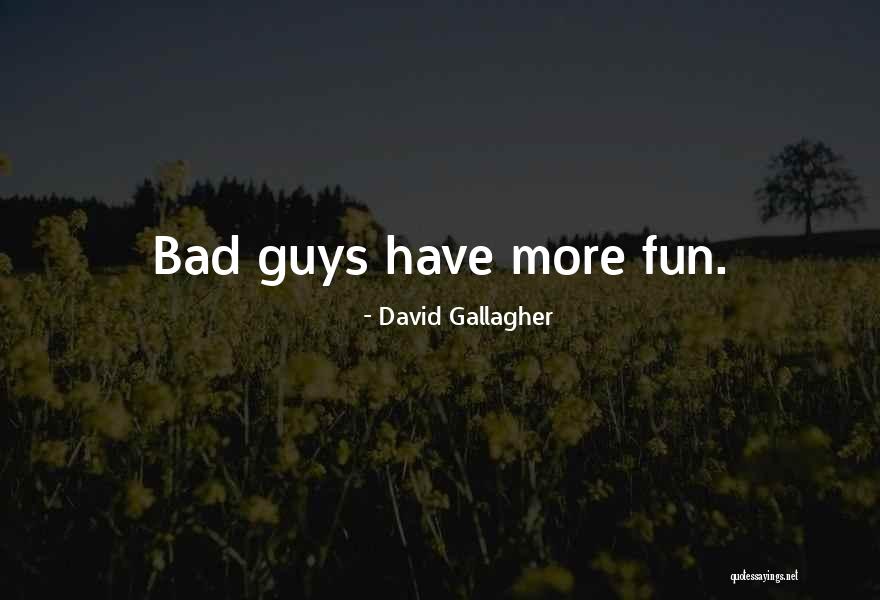 David Gallagher Quotes 504393