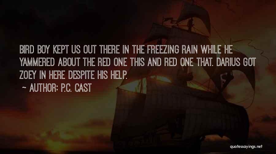 David Garvin Quotes By P.C. Cast