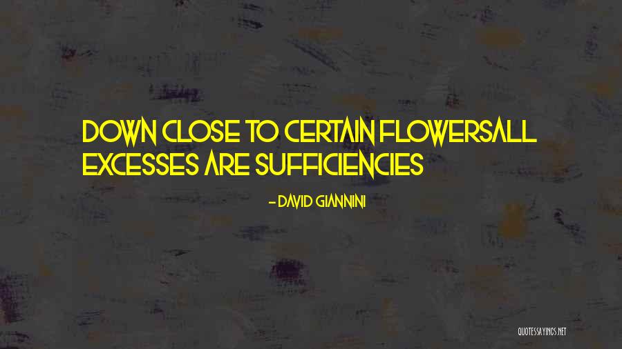 David Giannini Quotes 276417