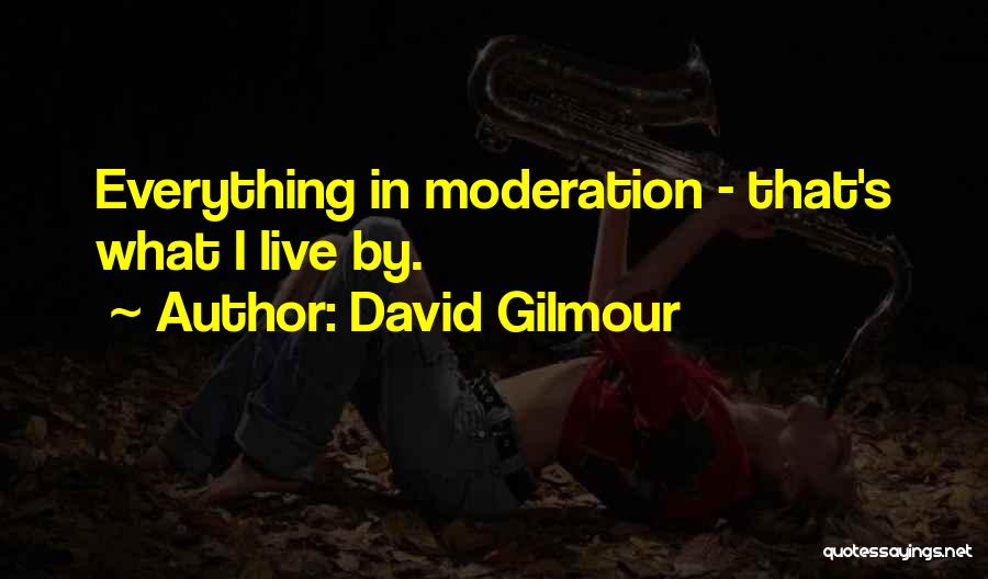 David Gilmour Quotes 1685257