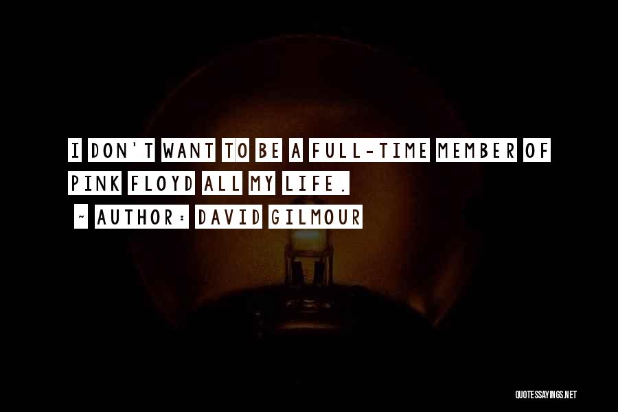 David Gilmour Quotes 1707220