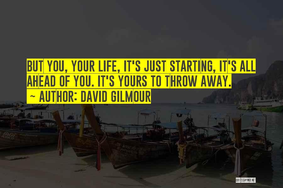 David Gilmour Quotes 393037