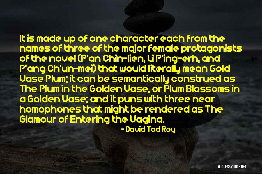 David Glamour Quotes By David Tod Roy