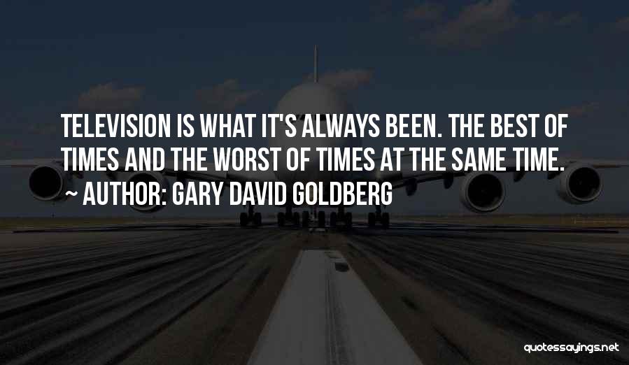 David Goldberg Quotes By Gary David Goldberg