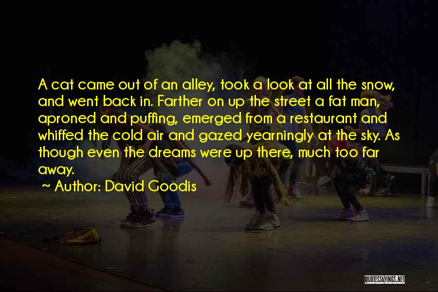 David Goodis Quotes 1718342