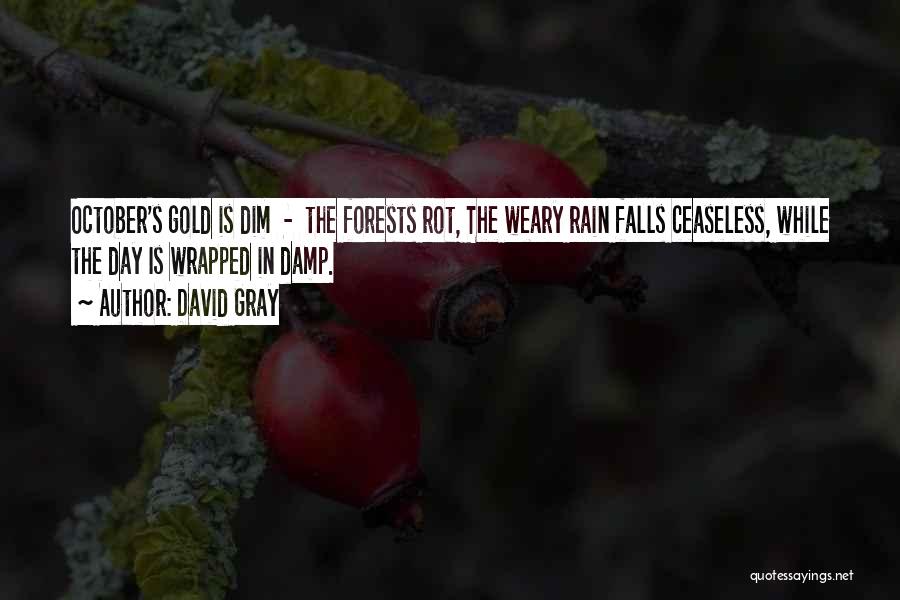 David Gray Quotes 1155384