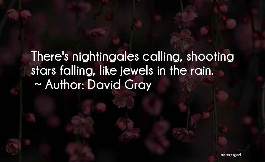 David Gray Quotes 1225836