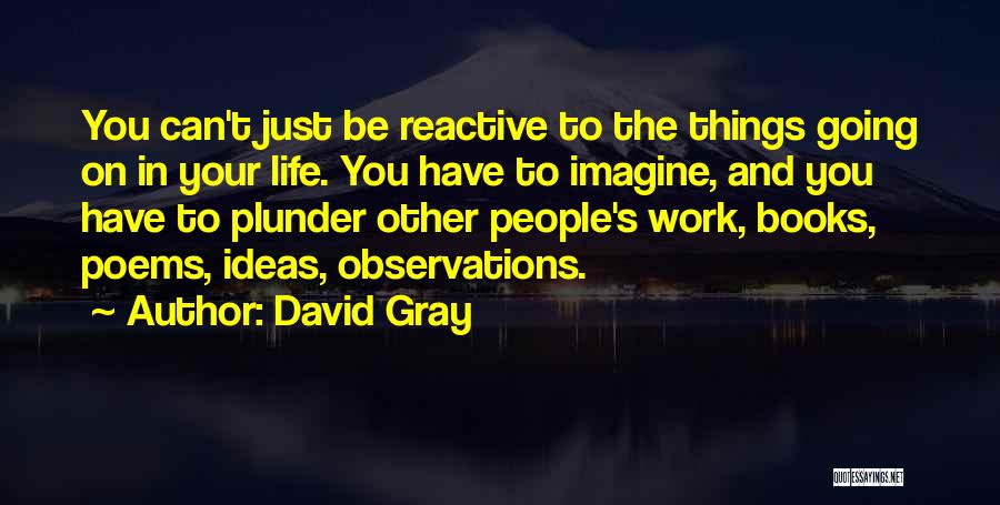 David Gray Quotes 1421591