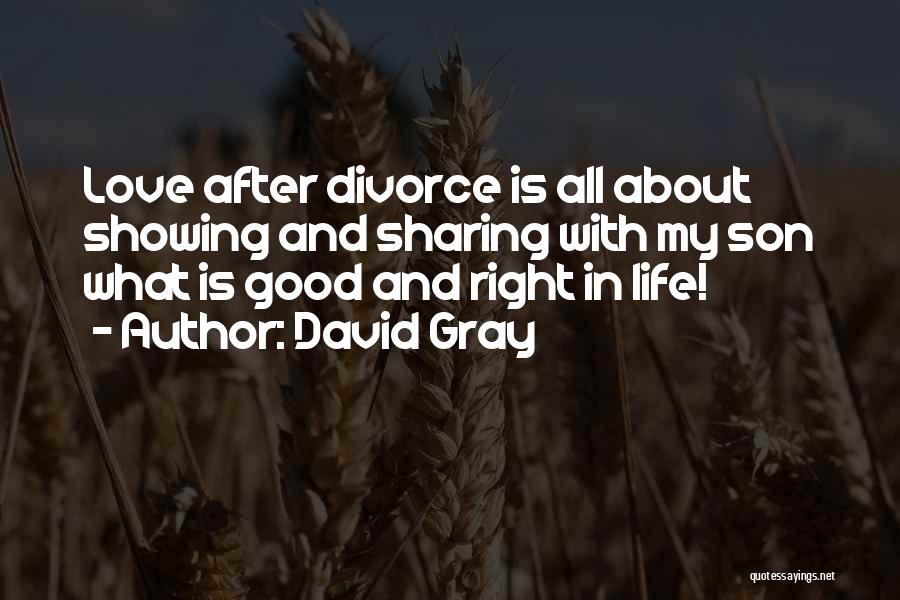 David Gray Quotes 1713846