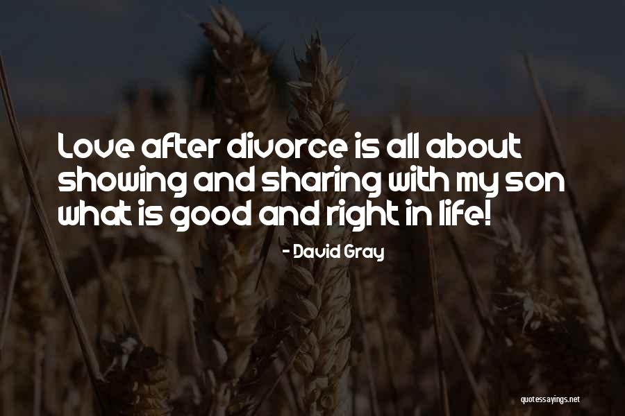 David Gray Quotes 1713846 David Gray Quotes 1713846