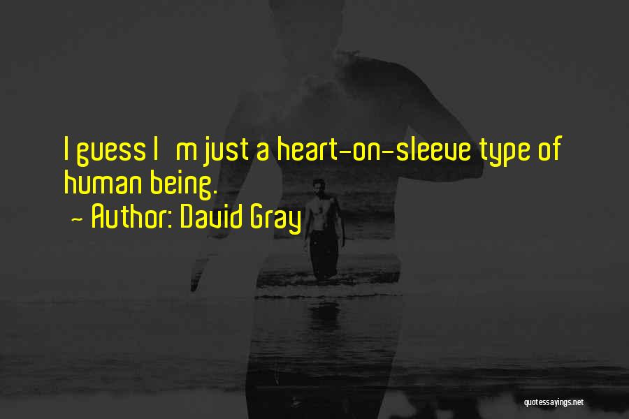 David Gray Quotes 582981