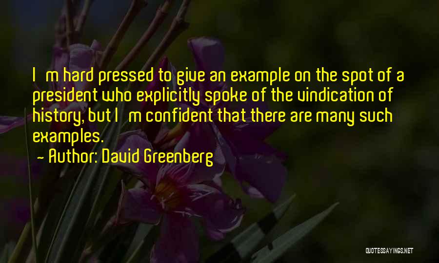 David Greenberg Quotes 543872