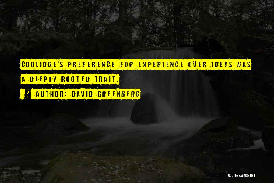 David Greenberg Quotes 906240