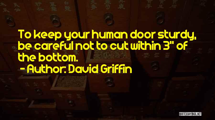 David Griffin Quotes 1673885