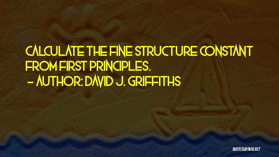David Griffiths Quotes By David J. Griffiths