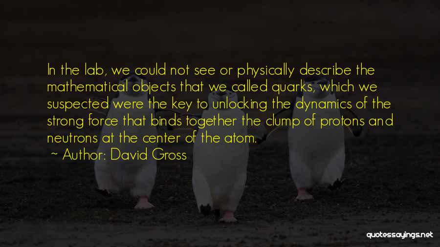 David Gross Quotes 1158270