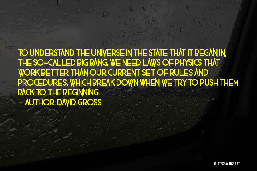 David Gross Quotes 1239484